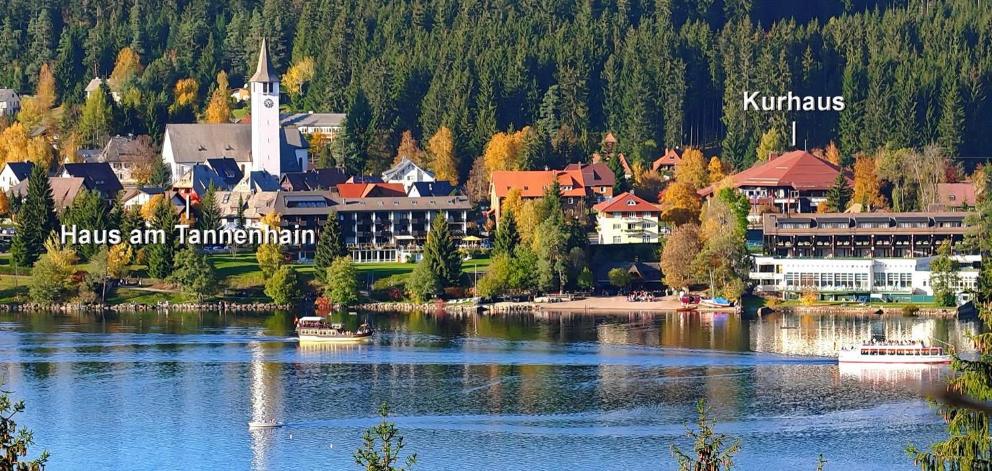 Haus Am Tannenhain Titisee-Neustadt Exterior photo