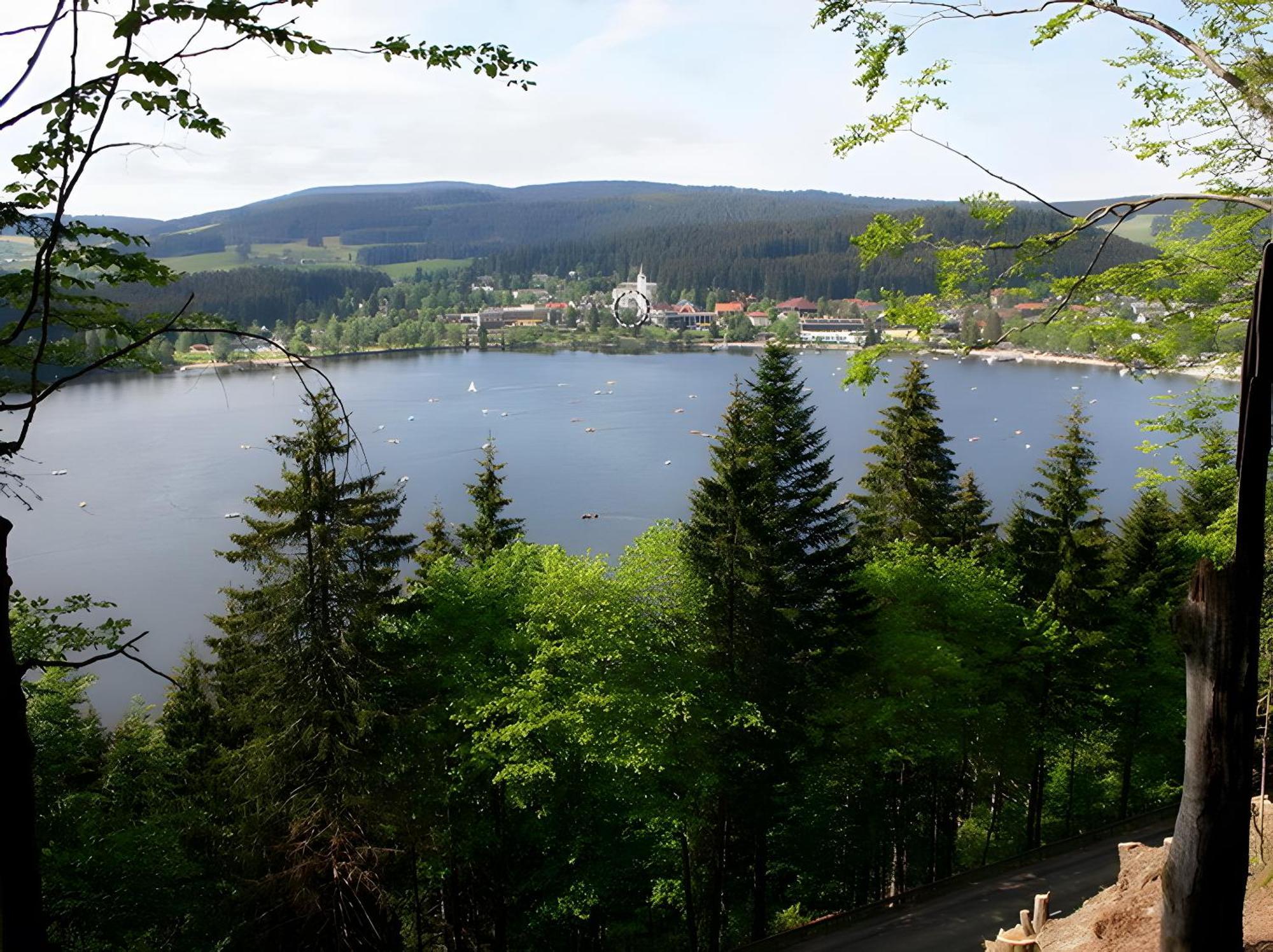Haus Am Tannenhain Titisee-Neustadt Exterior photo