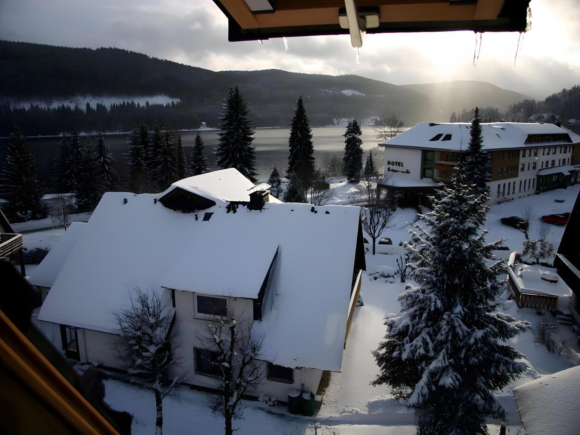 Haus Am Tannenhain Titisee-Neustadt Exterior photo